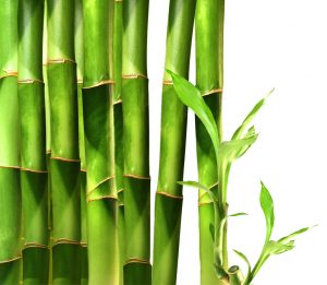 Bamboo Lime Cotone canapa Profumo Ambiente Verde
