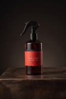 Spray Ambiente Extrait Home Parfum Zenzero e Spezie 300 ml