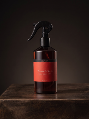 Spray Ambiente Extrait Home Parfum Zenzero e Spezie 300 ml